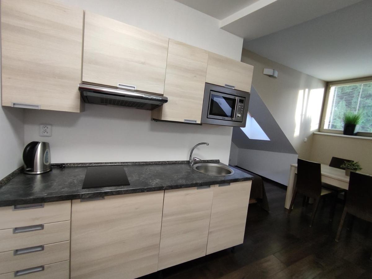 Anensky Apartman C303 - S O2 Tv A Stabilni Rychlou Wifi, S Moznosti Dokoupeni Bufetovych Snidani - By Relax Harrachov Dış mekan fotoğraf